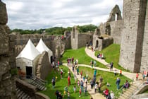 Explore Oystermouth Castle's History and Bay Views