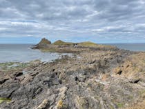 Explore Worm's Head