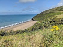 Explore Penbryn Beach