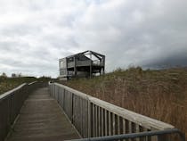 Observe Ospreys and Enjoy Refreshments at Cors Dyfi