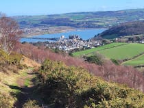 Explore Mynydd y Dref