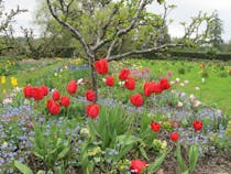 Explore the Stunning Hergest Croft Gardens