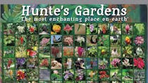 Explore Hunte's Gardens