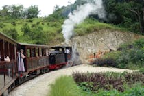 Explore St. Nicholas Abbey and Steam Railway