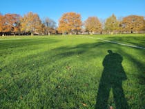 Explore the Natural Beauty of Bushy Park