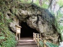 Explore Mother Shipton's Cave