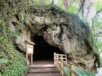 Explore Mother Shipton's Cave