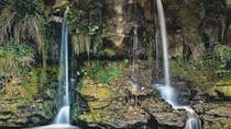 Explore Hayburn Wyke Waterfall