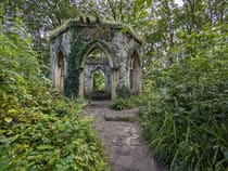 Explore the Enchanting Hackfall Forest