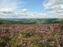 Explore the Scenic Nidderdale AONB