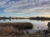 Explore Ripon City Wetlands