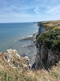 Spot Seabirds and Puffins at Bempton Cliffs