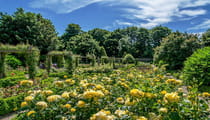 Explore Sewerby Hall & Gardens