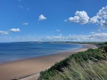 Enjoy Filey Beach's Dog-Friendly Stretch