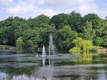 Explore the Tranquil Beauty of Roundhay Park