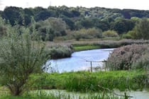 Explore the Tranquil Rodley Nature Reserve