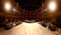 Experience the Swan Theatre