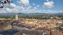 Climb Guinigi Tower for Breathtaking Views of Lucca