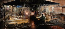 Go Bavarian at Steins