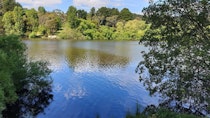 Explore the Quaint Hepburn Springs