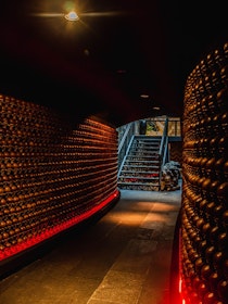 Savour Cocktails and Cuisine at Gin Gin Polanco