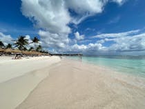 Swim with Turtles at Playa Akumal
