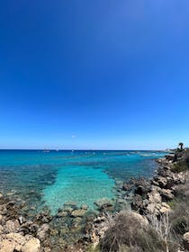 Explore Fig Tree Bay