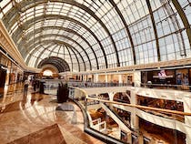 Shop and Ski at Mall of the Emirates