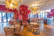 Dine at Saya Café City Walk