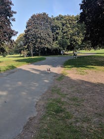 Explore Beautiful Preston Park