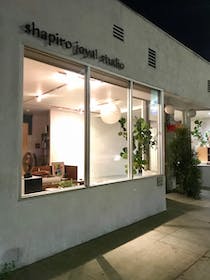Explore Shapiro Joyal Studio