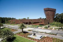 Explore de Young Museum's diverse art collection in Golden Gate Park