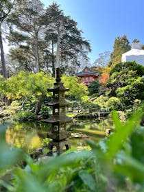 Explore the tranquil Japanese Tea Garden
