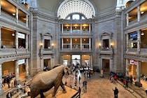 Explore the Wonders of the Smithsonian National Museum of Natural History