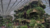 Explore the Barbican Conservatory