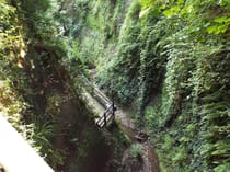 Explore Shanklin Chine's Enchanting Wooded Ravine