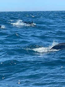 Experience the Unbounded Sea