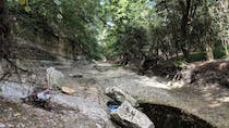 Explore the natural beauty of Williamson Creek Greenbelt