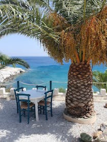 Dine at Théa Restaurant