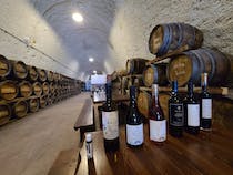 Explore Hatzidakis Winery