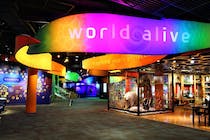 Explore the fascinating world of science at Discovery Place Science