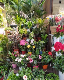 Shop at Floristería Emilia