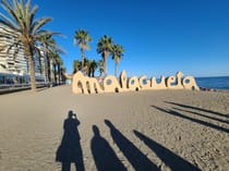 Relax at Playa la Malagueta
