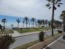 Walk Along the Beautiful Paseo Maritimo