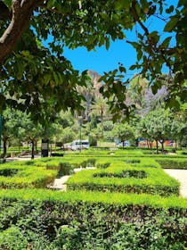 Explore the serene Jardines de Pedro Luis Alonso
