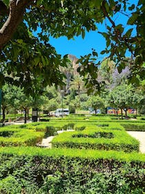 Explore the serene Jardines de Pedro Luis Alonso
