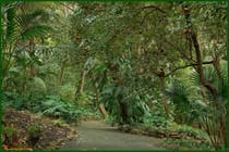 Explore the diverse flora at La Concepción Botanical Garden