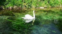 Explore the tranquil Fonti del Clitunno Park