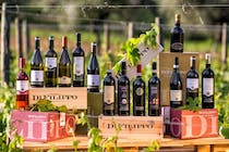 Explore Cantina di Filippo - Vino biologico