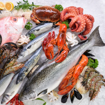 Dine at TrattOliva